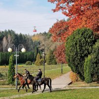 Конный патруль в курортном парке г. Кисловодска. :: Александр 