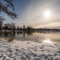 Белое солнце зимы :: Николай Гирш