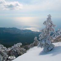 Зима на Ай-Петри :: Сергей Титов