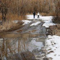 Гуляющие по Весне. :: Восковых Анна Васильевна 