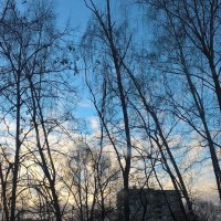 небо весеннего утра :: Елена Семигина