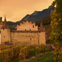 Castle Aigle :: Elena Wymann