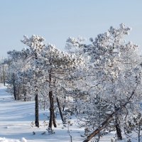 Пушистики :: Влад Владов