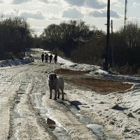 По главной улице, с оркестром :: Екатерина К.