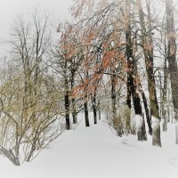Зимы прекрасное творение... :: Sergey Gordoff