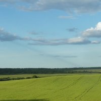 КОМАНДИРОВКИ ПО ДЕРЕВНЯМ. :: Виктор Осипчук