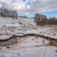 На болоте... :: Владимир Жданов