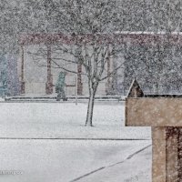 Снегопад в городе :: Анатолий Клепешнёв