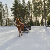 В музее деревянного зодчества "Малые Корелы". :: Марина Никулина