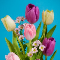 Композиция с тюльпанами :: Ольга Бекетова