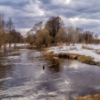 Вешние воды :: Андрей Дворников