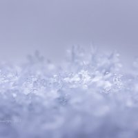 Снег :: Александр Синдерёв