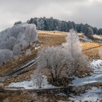 Серебристый иней :: Фёдор. Лашков