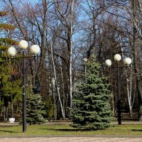 В город пришла весна, стало тепло и солнечно :: Надежд@ Шавенкова