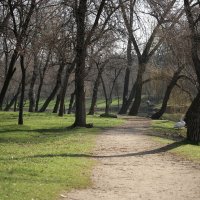 Весна в парке. :: barsuk lesnoi