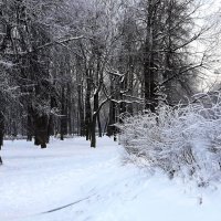 Лопухинский сад :: Наталья Герасимова