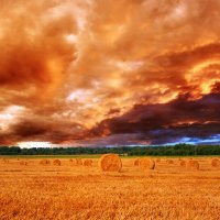 Поджигает закат небо хмурое, Рыжим цветом поля заливает... :: Анатолий Клепешнёв