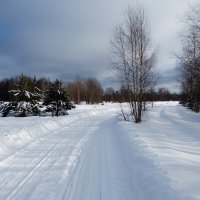 Февраль солнечный :: Анатолий Мо Ка