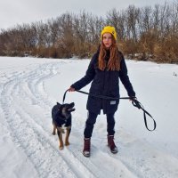 Выгульщица собак! :: Елена Хайдукова  ( Elena Fly )