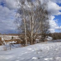 весенний день :: Валентина. .