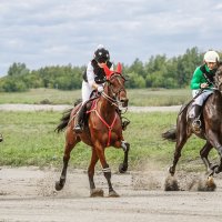 Скачки :: SanSan 