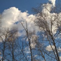Плывут облака :: Елена Семигина