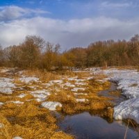 В полях ручьи журчат :: Сергей Цветков