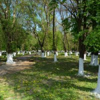 Новочеркасск. Сквер площади Ермака весной. :: Пётр Чернега