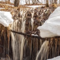 Весенний "водопад" :: Алексей Сметкин