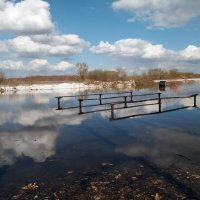 Разлив на озере :: Galina Solovova