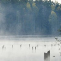 У старой купальни...... :: Юрий Цыплятников