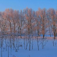 МОЯ ДЕРЕВНЯ :: Виктор Осипчук