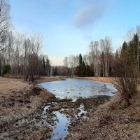 Павловский парк :: Наталья Герасимова