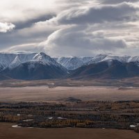 В Курайской степи. :: Марина Фомина.