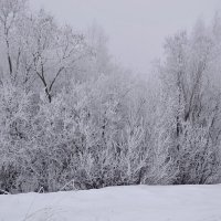 МОЯ ДЕРЕВНЯ. :: Виктор Осипчук