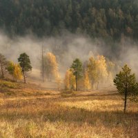 Осенний утренний туман. :: Марина Фомина.