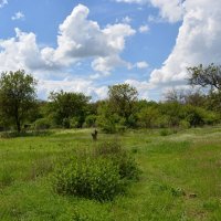 Новочеркасск. Заброшенный сад Западенской балки. :: Пётр Чернега