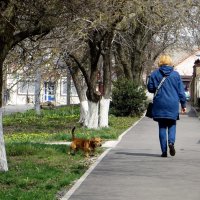 Со второй половины апреля синоптики прогнозируют довольно дружную весну :: Татьяна Смоляниченко