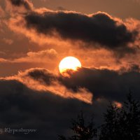 Тучи тёмные солнце поглощают, Ветер вечером всё больше завывает... :: Анатолий Клепешнёв