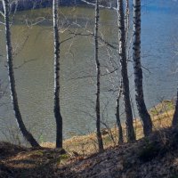 На берегу Каменки. :: Михаил Полыгалов