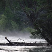 Предрассветная тишина на реке Джазатор (Алтай) :: Спартак Краснопевцев