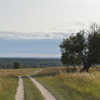 По дороге :: Екатерина Камандакова