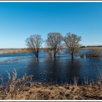 Разлив на реке Нерль :: Игорь Волков