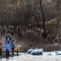 Давно не виделись... :: Владимир Безбородов