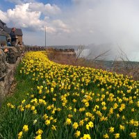 Ниагарский водопад :: Светлана Хращевская