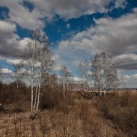 Апрельский пейзаж :: Алексей Мезенцев