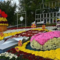 Праздник хризантем на Спивочем поле. Киев :: Татьяна Ларионова