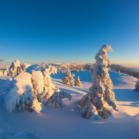 Зима на плато Ай-Петри :: Сергей Титов