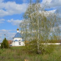 Новочеркасск. Молодая берёзка у часовни Уара Мученика. :: Пётр Чернега