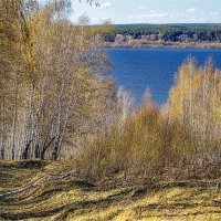 "Весенняя дымка в Водолеево"© :: Владимир Макаров